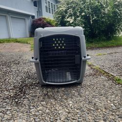 Kennels