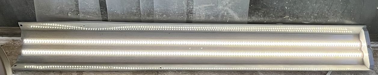 Track Light 💡