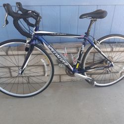 Specialized Carbon Fiber Bike