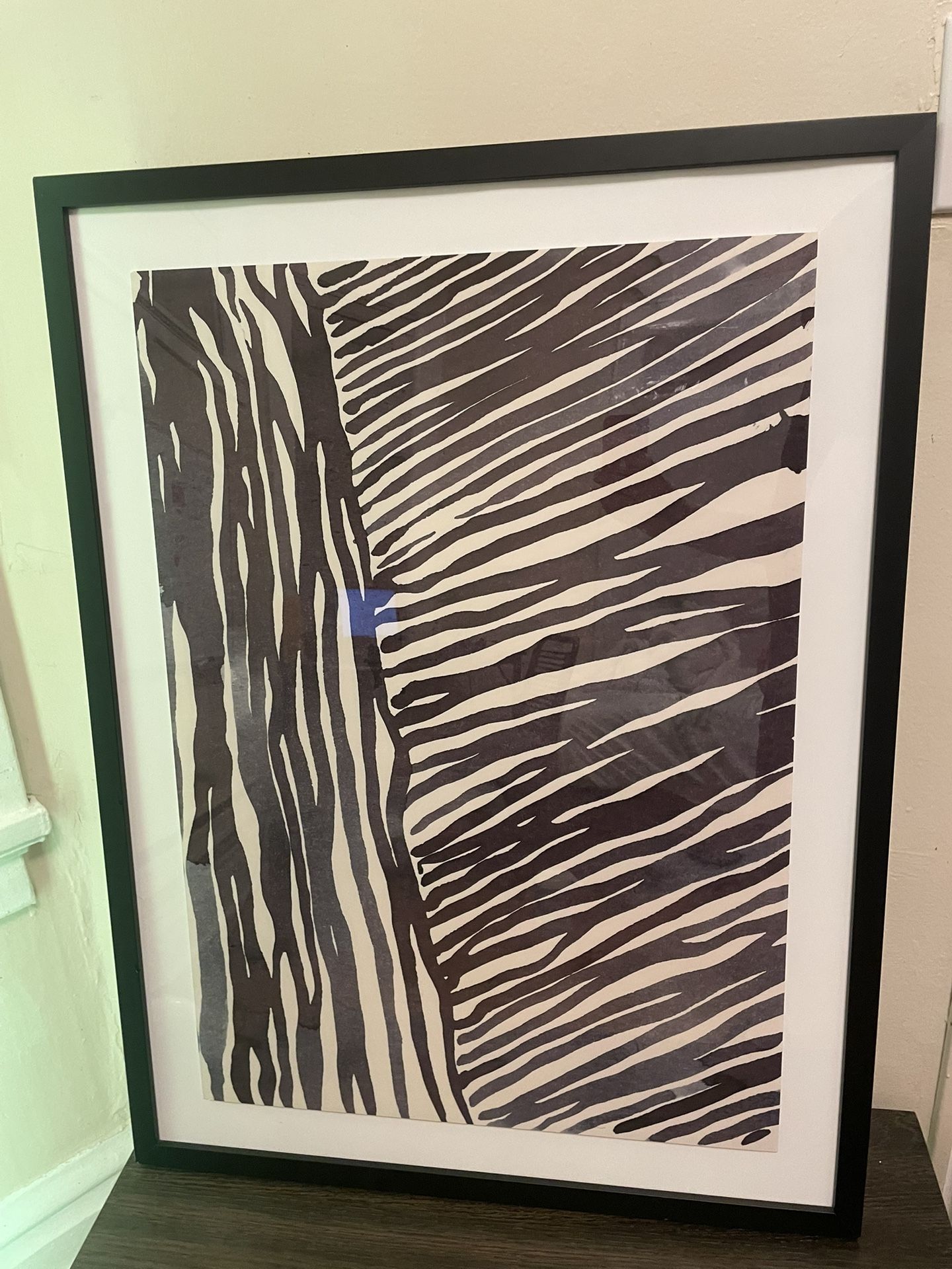 Zebra Print Photo + Frame