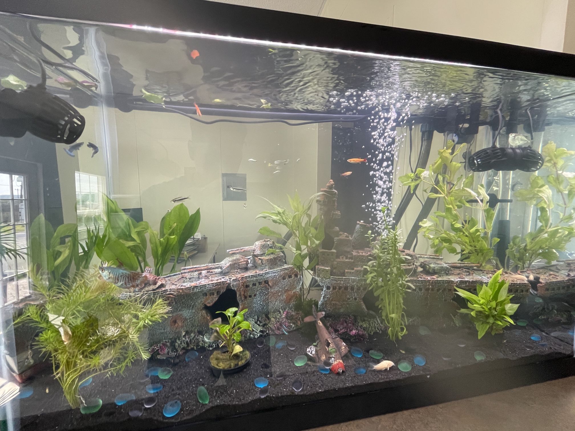 29 Gallon Fish Tank Aquarium