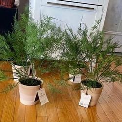 22” Faux Fern Potted Plant - Hearth And Hand With Magnolia 