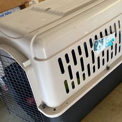 Dog Kennel