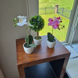 Decor Silk Plants