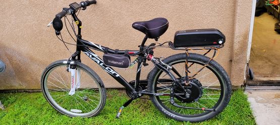 48v Converted EBIKE