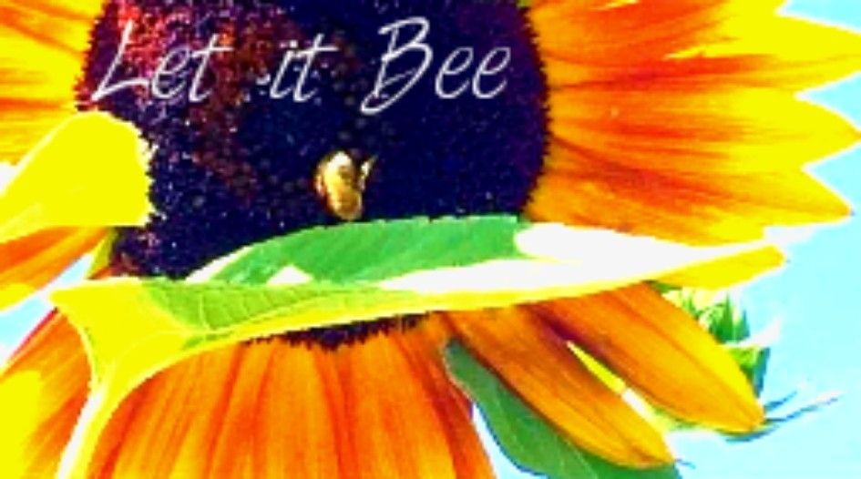 Digital Photography & Art