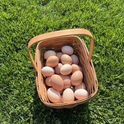 Fresh organic Eggs 🥚 