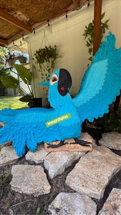 Pájaro grande río, solamente por pedido