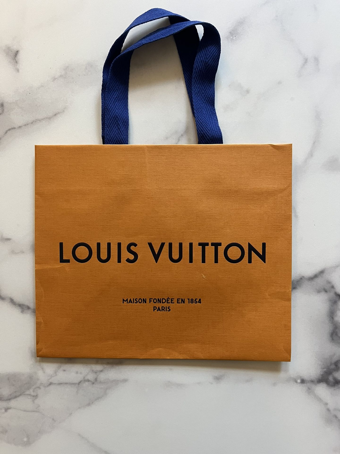 Louis Vuitton shopping bag