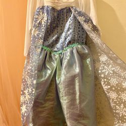 Frozen Elsa Singing Dress 4T 