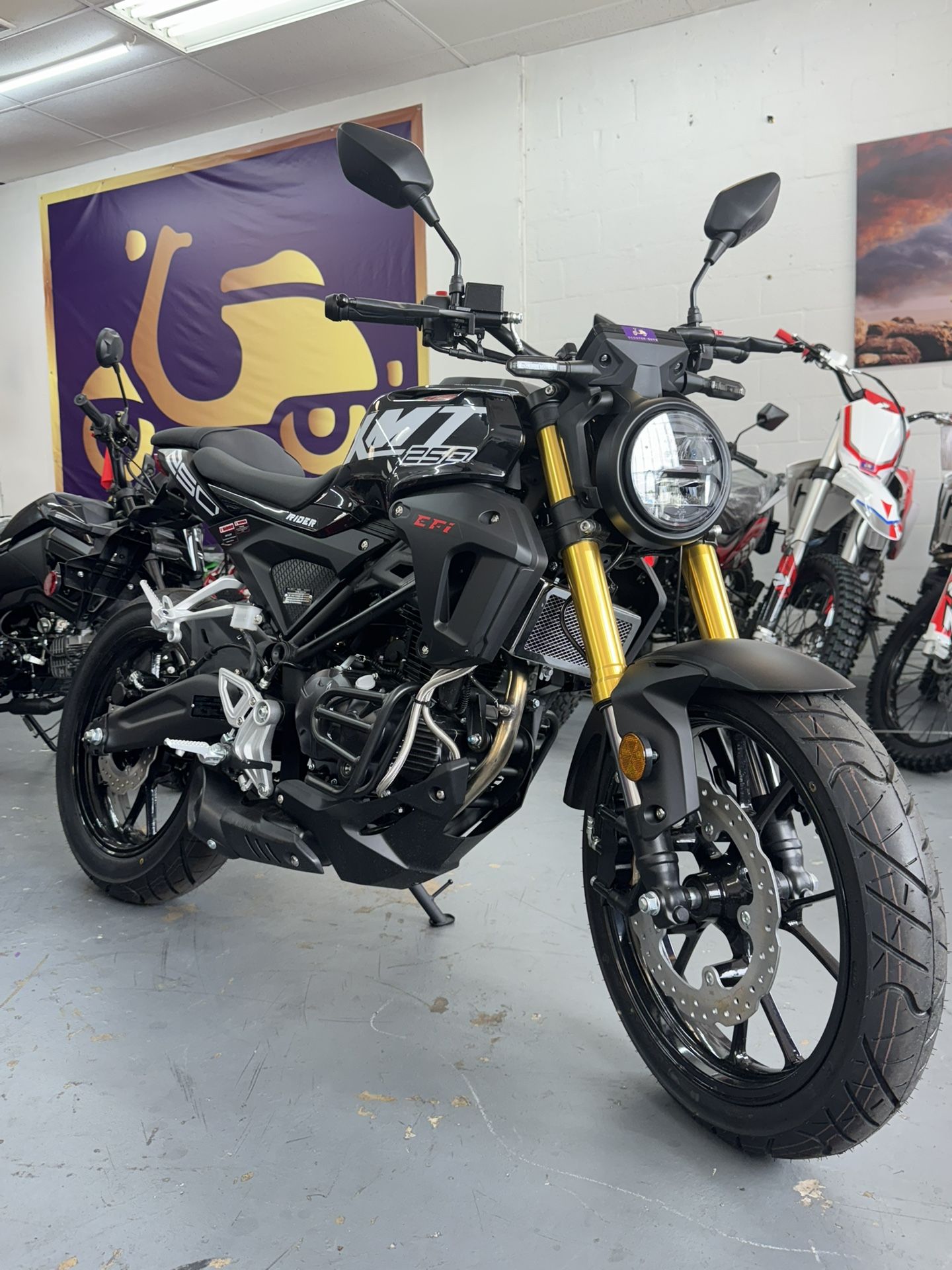 2025 Vitacci XMT