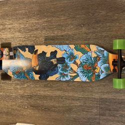 Brand New Skateboard!!