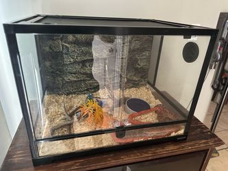 Corn Snake Enclosure