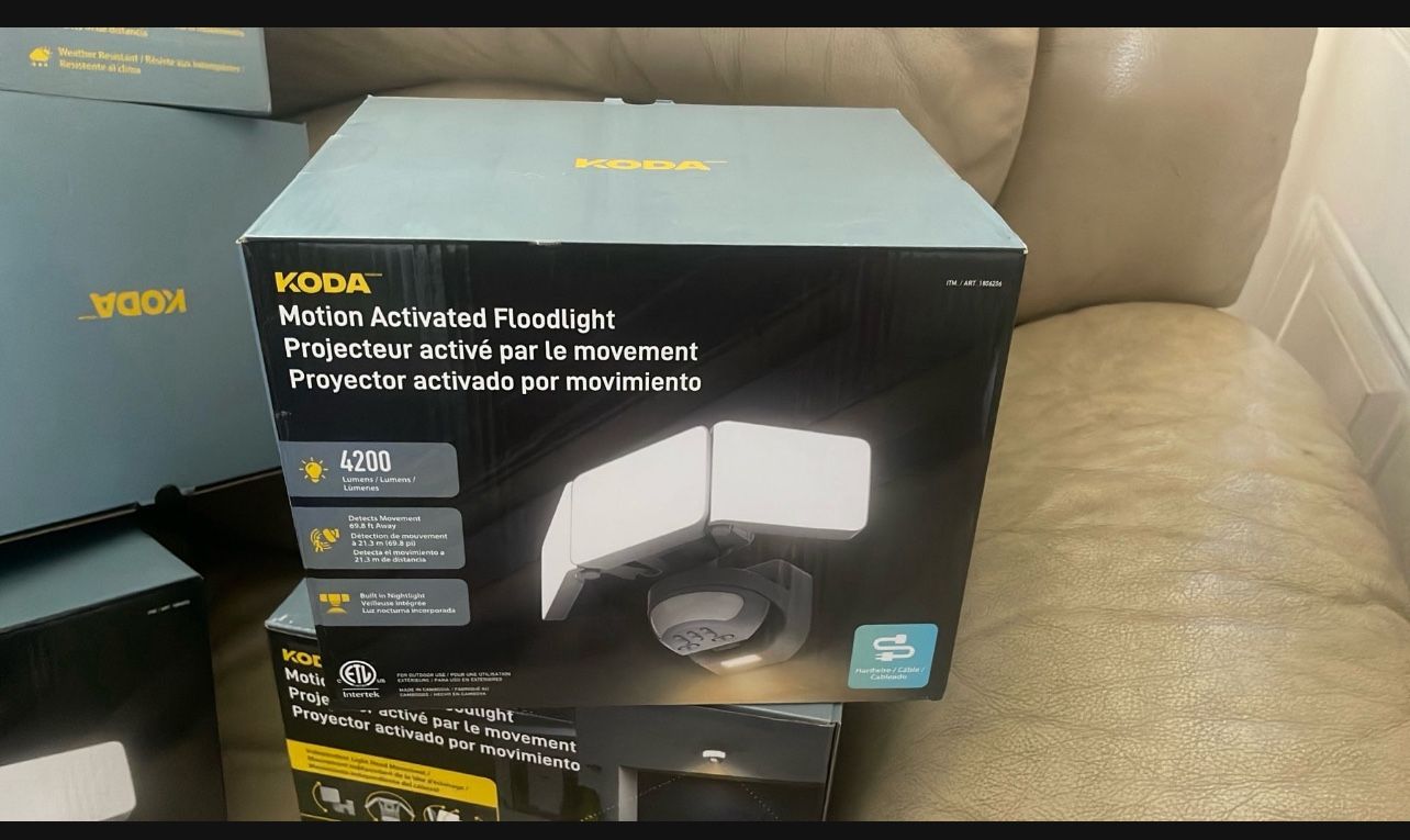 Sensor Lights Back Yard