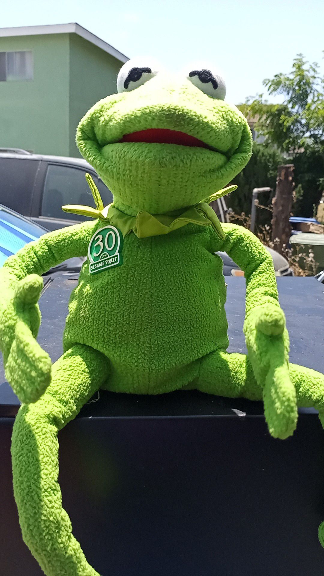 Kermit the Frog Plush - 30th Anniversary Talking Kermit for Sale in  Torrance, CA - OfferUp
