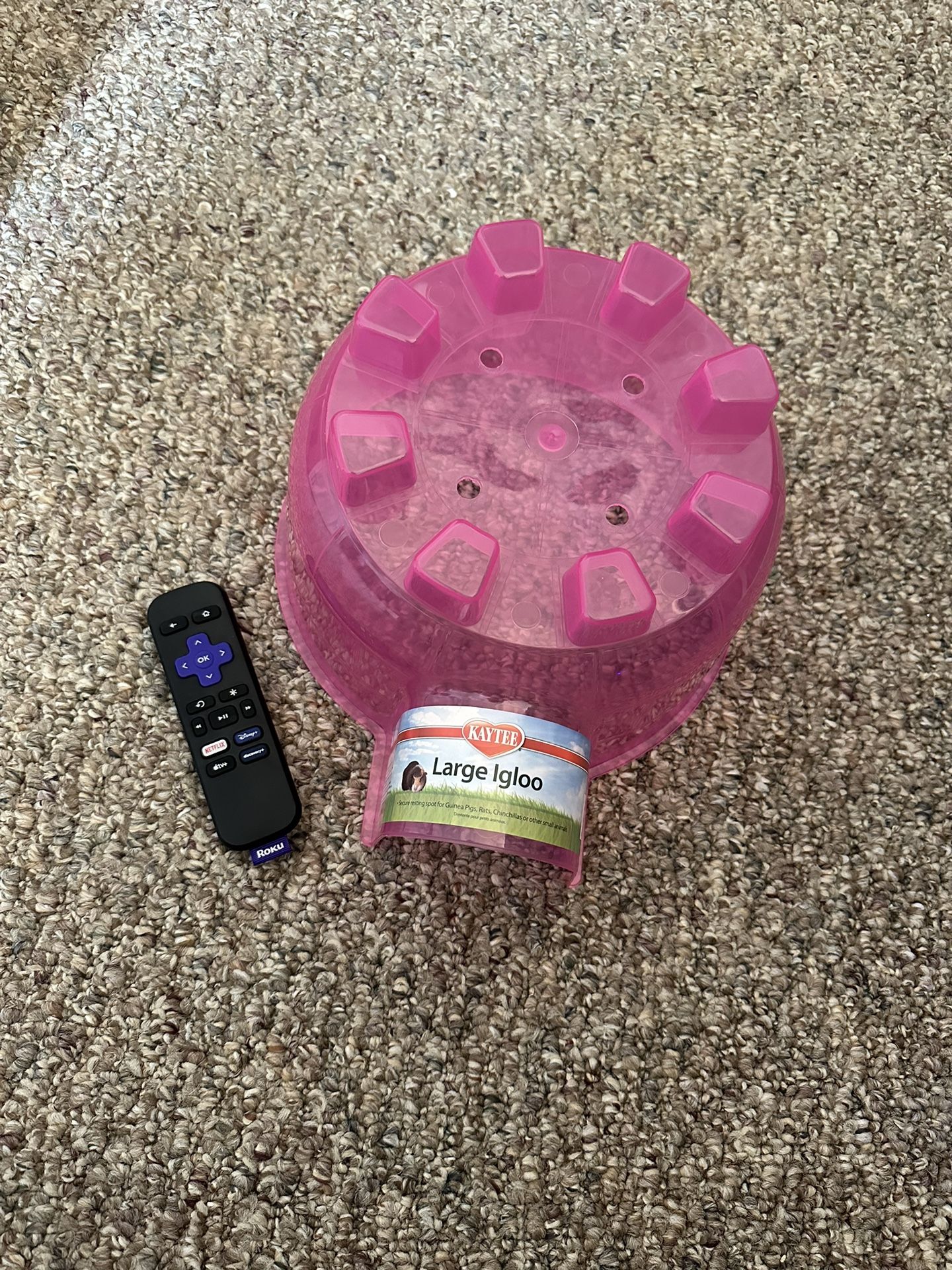 Rodent Igloo