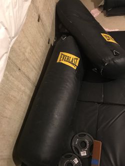 Ever last punching bags