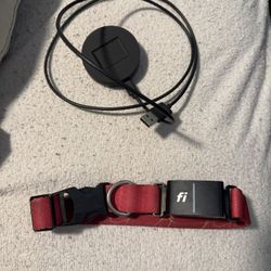 Fi Smart Dog  Collar 