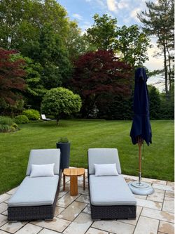 Rh chaise plus cover and cushion price per chair