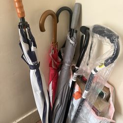 Canes And Umbrellas 