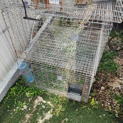 Jaulas De Conejos 