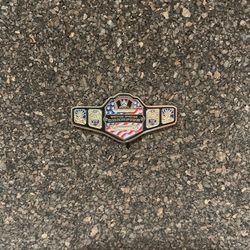 US Champion Belt Pin
