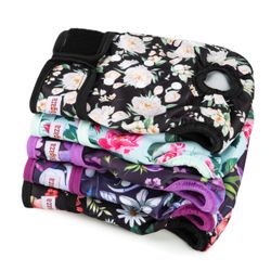 dog diapers
