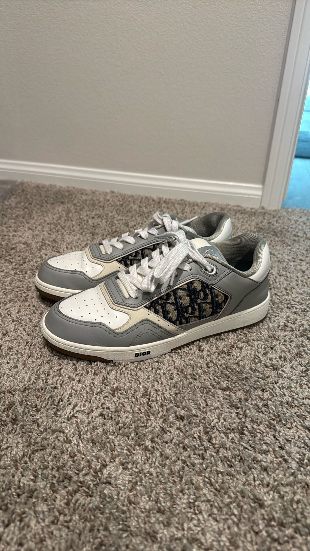 Dior Men Sneaker Size 43