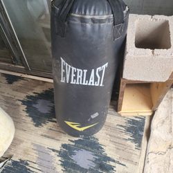 Everlast Punching Bag 