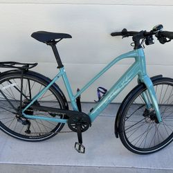 Trek Fx+ 2 Electric Bike Size L