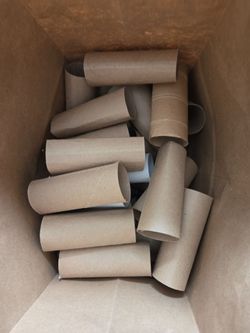 Crafts/Gardening - clean toilet paper rolls