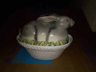 Rabbit In Your Home