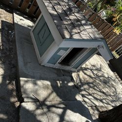 Dog House 