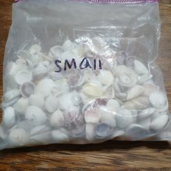 Assorted Bag Of  Sea Shells Small