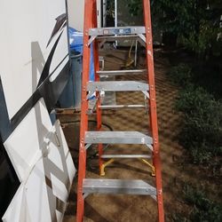 Werner 6ft Ladder 
