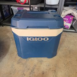 Igloo Cooler