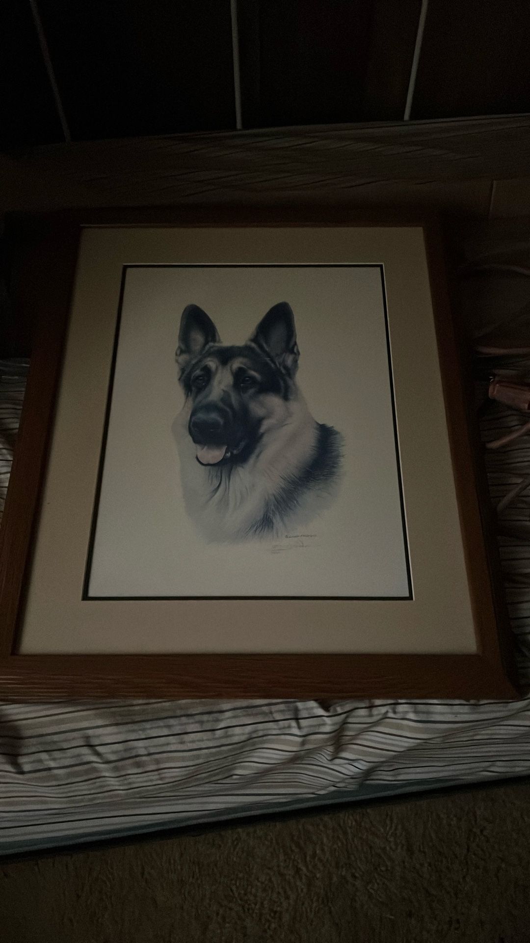 German Shepherd framed Print