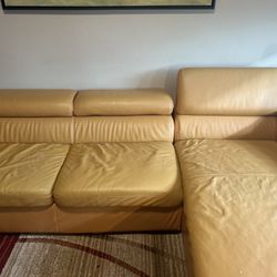 Free Sectional Sofa