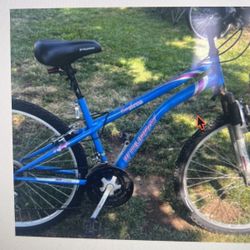 Murray mountain bike 21 speed sale