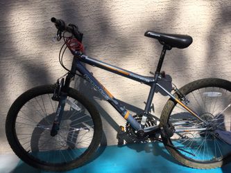 Bike 24”