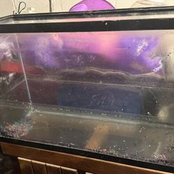 Fish Tanks For Sell