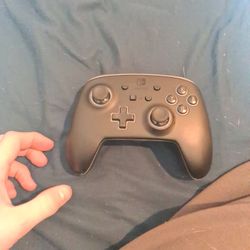Nintendo Controller 