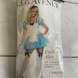 Alice and wonderland leg ave Halloween costume