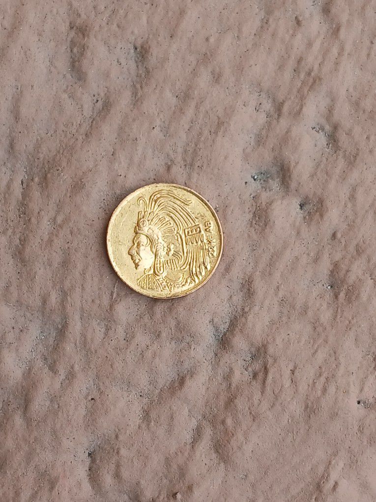 22k Gold Coin
