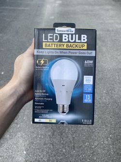 Energy Efficiant Light Bulbs 