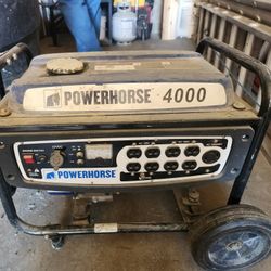 Powerhorse Portable Generator