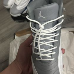 Jordan 12 Grey