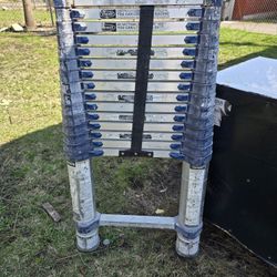 Telescope Ladder
