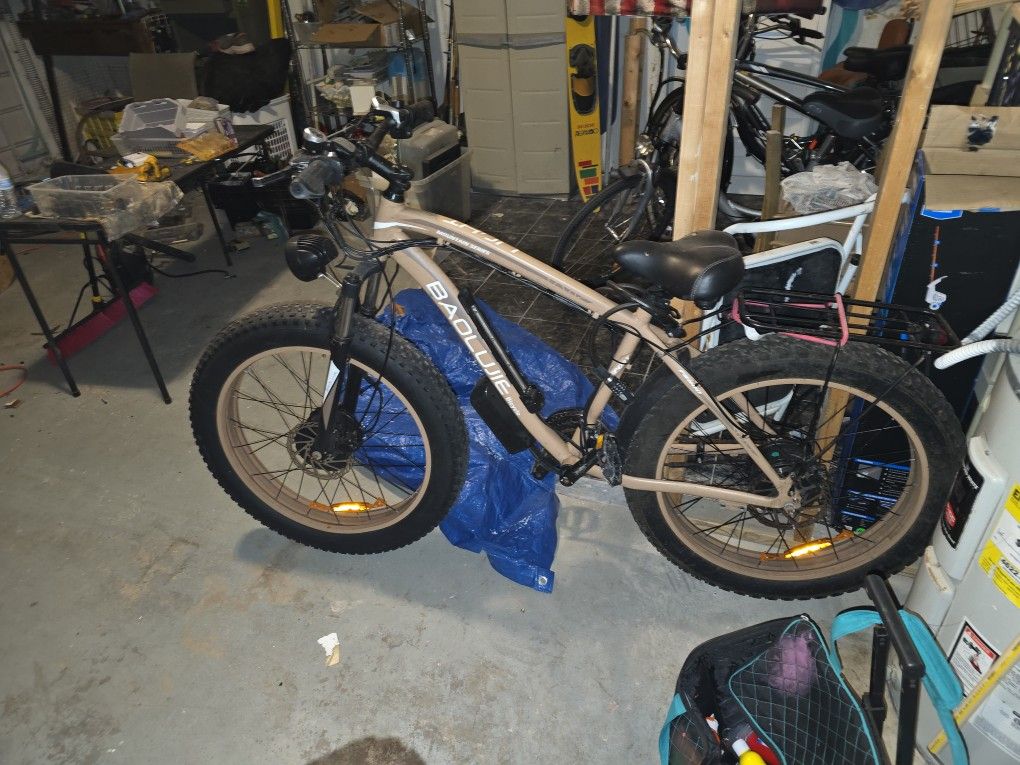 BAOLUJIE EBIKE