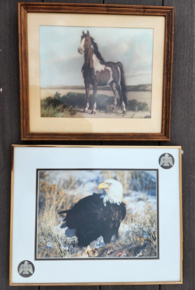 Animal Wall Art